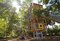 David F. Bolger Spielplatz eingebettet in die Bengalischen Feigenbäume des Ringling Museums Sarasota