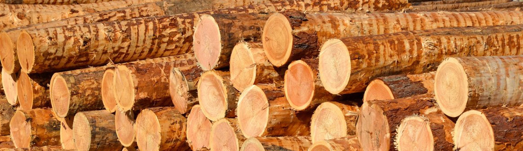 Sustainable for over 50 years