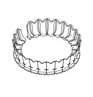 7.80000