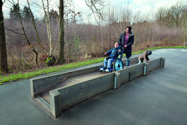 Wheelchair See saw