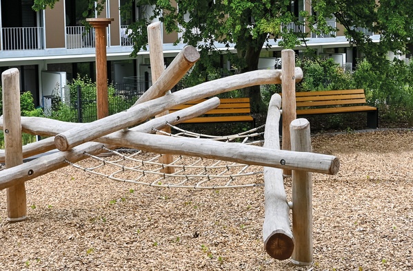 Climbing Structure 19 