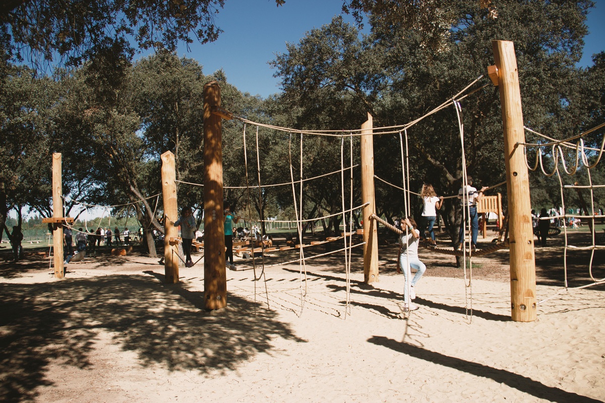 Kinder spielen im Kletterwald 