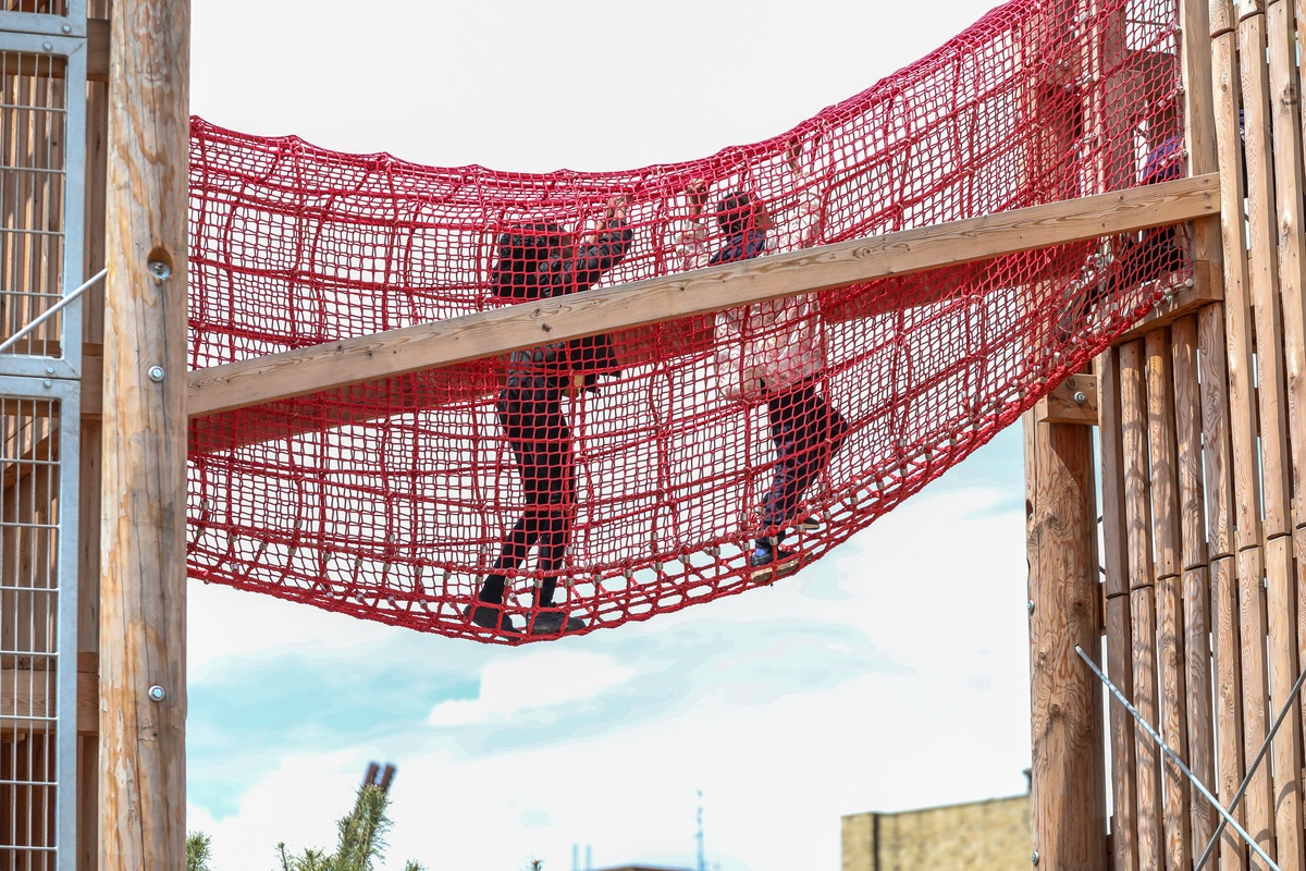 Children climb through red net suspension bridge.