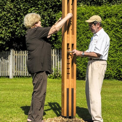 11.01700 Weight Pillars