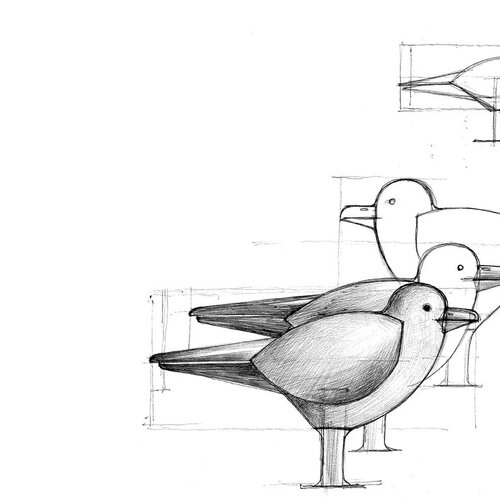 Seagull